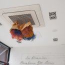 동현공인중개사사무소 이미지