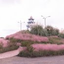 제주허브동산 이미지