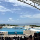 덮밥 든 아재 | 아기랑 오키나와_1일차와 2일차