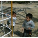 주상초등학교 이미지