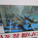 상희수산