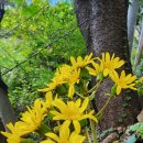 천마 공영주차장 이미지