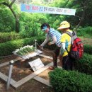 6.25한국전쟁 참 이미지