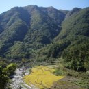 상이리 계곡 이미지