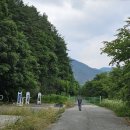 고개너머 동향길 | 진안고원길 12구간 *고개너머 동향길* (24.06.15)