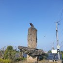 보담애월 이미지