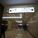 강변노래연습장 | 단풍여행 가볼만한곳 단양 감성숙소 추천 , 야경이 아름다운 소노벨 , 소노문 강변 호텔 리조트 숙박 후기