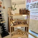 헬시투게더 | 영일대 해수욕장 부근 건강관리 빵에 다양한 디저트 까지 포항빵 맛집 베이커투게더 후기