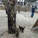 얼음골여관 이미지