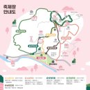 섬진소프트 | 전남 꽃축제 광양 매화마을 매화축제 기본정보 개화상황 포함한 후기