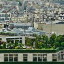 하늘정원 이미지