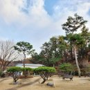 논산애견 이미지