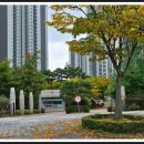 217-운정3-217 이미지