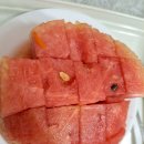 수박 이미지