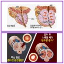 큐사랑미용실 - 광양시 | 큐사랑미용실