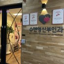 수앤영