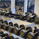 젬스톤 피트니스 이미지