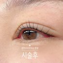 율하브로우눈썹&속눈썹