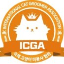 신사숙묘 이미지