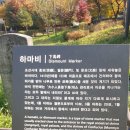 금암문화공원 이미지
