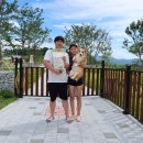 (주)펫월드 이미지