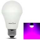 식물 LED 3년 사용 후기 - 도시농업과 식물공장