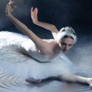 유니버설 발레단 <백조의 호수> 이미지