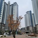 다안채골드공인중개사사무소 이미지