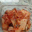 뉴규합총서 | 김치의 효능과 맛있게 먹는 나만의 건강 비법 정보