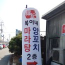 복이네마라탕 | 충북 보은맛집 " 복이네마라탕 " 가성비좋은 마라탕 꿔바로우 찐후기