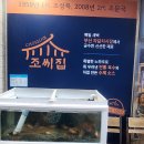 조씨집 | 부산 대연 궁중 해물탕 맛집 조씨집 내돈내산 후기