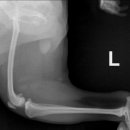 24시 서초바른동물병원 이미지