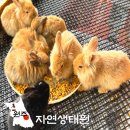 신나게 놀자(유아 감성캠프) | 원주 아이들과 가볼만한곳 자연생태원 강원도 근교 여행지