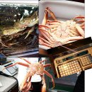 정일빌딩 이미지