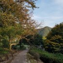 뿌리커피숍 - 북구 백양대로 1181 | 뿌리커피숍