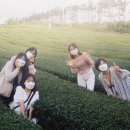 미림사진관 이미지