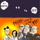 컴플렉스 이미지