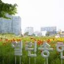 송현 이미지