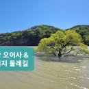 오어사 공영주차장 네이버블로그