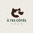 대흥동물병원 네이버블로그