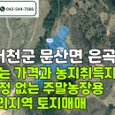 서천농장 티스토리