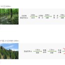 서호동-61 이미지