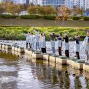 안양천 다목적광장 이미지