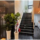 광탄 골프죤 이미지