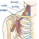넘버원휘트니스 이미지