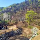 백야자연휴양림 이미지