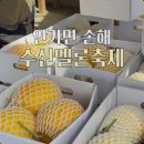 수신제일농장 | 천안 아이와 가볼만한곳 제3회 수신멜론축제 솔직 후기 꿀팁