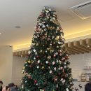 성남대로1518번길+성남대로1480번길 | 위례브런치카페 :: 위례 파스타 맛집 온더브레드 복정점 방문 리얼 후기