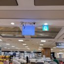 브라운 테팔 매장 이미지