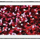 (주)정도환경 이미지